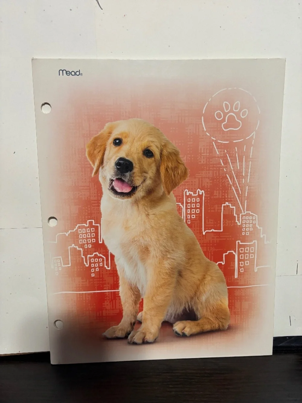 Golden Dog folder